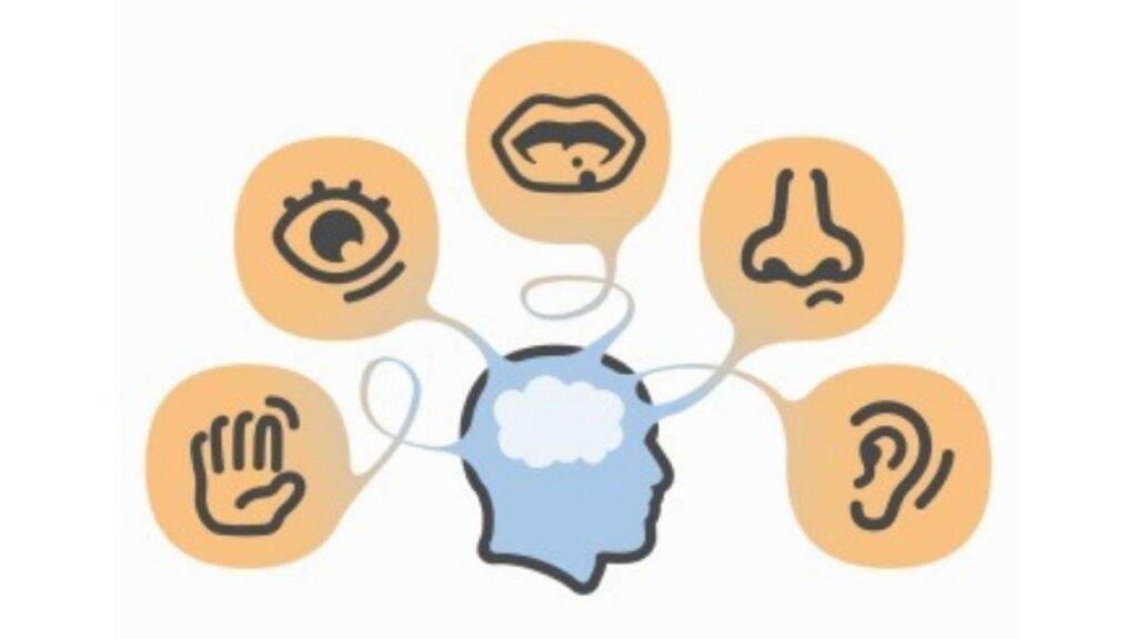 Have Total Control Over Your Senses