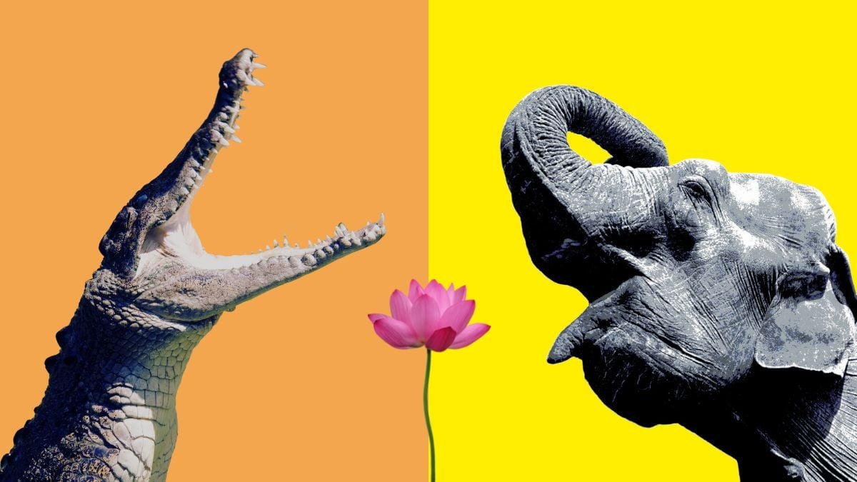 Gajendra Moksha: Story of Elephant and Crocodile