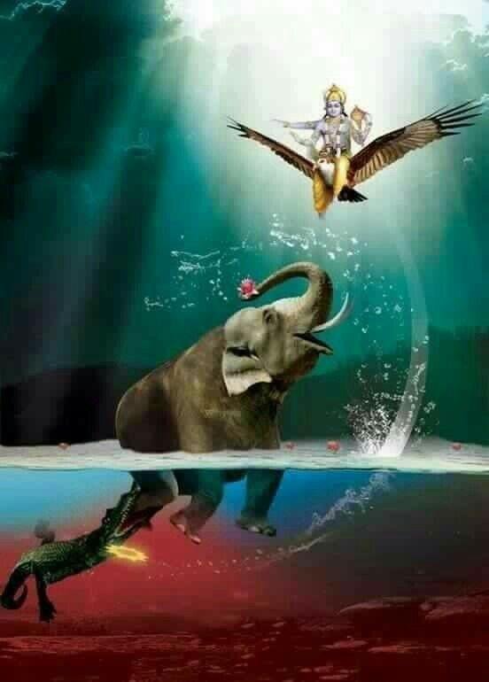 Gajendra Moksha: Story of Elephant and Crocodile