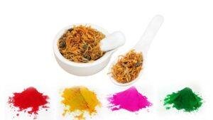 Importance of Tesu Flowers during Holi Festival