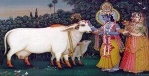 The importance of cow worship (Gau Mata) in Hindu tradition.