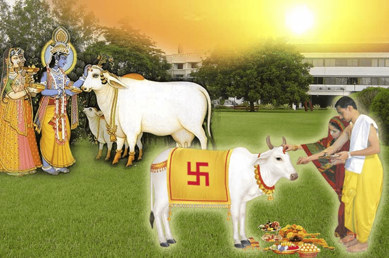 The importance of cow worship (Gau Mata) in Hindu tradition.