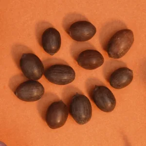 Sacred Kamalgatta Set (11pcs) for Pooja